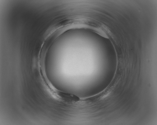 X0000073451034200607281215