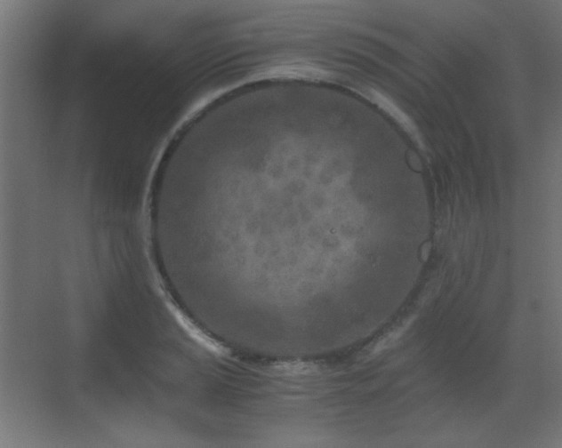 X0000073451037200607281215