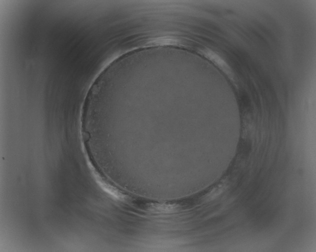 X0000073451039200607281216