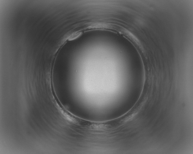 X0000073451041200607281216