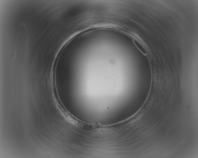 X0000073451044200607281216