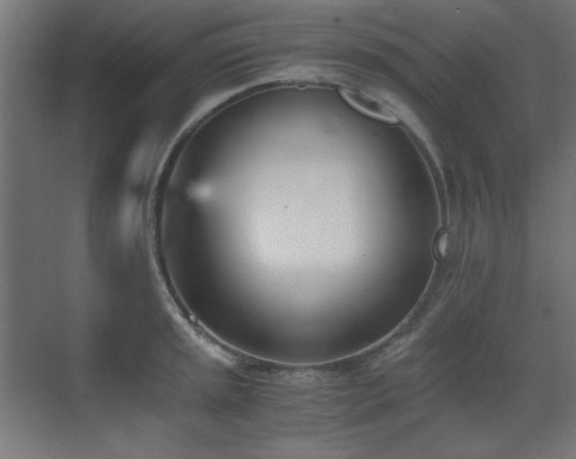 X0000073451045200607281216