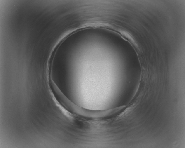 X0000073451046200607281216