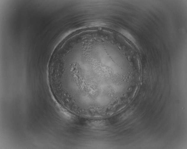 X0000073451047200607281216