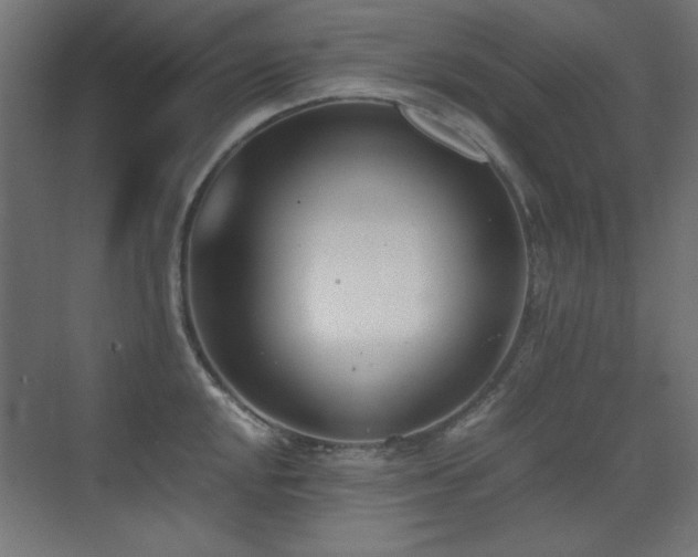 X0000073451048200607281216