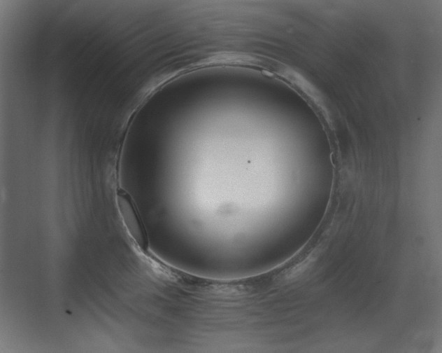 X0000073451049200607281216