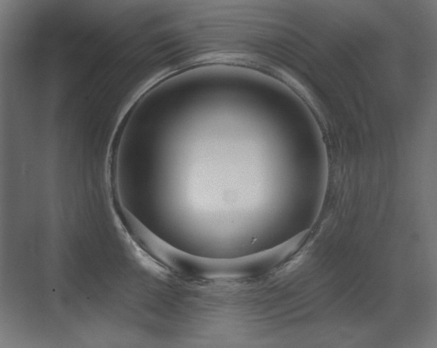 X0000073451050200607281216