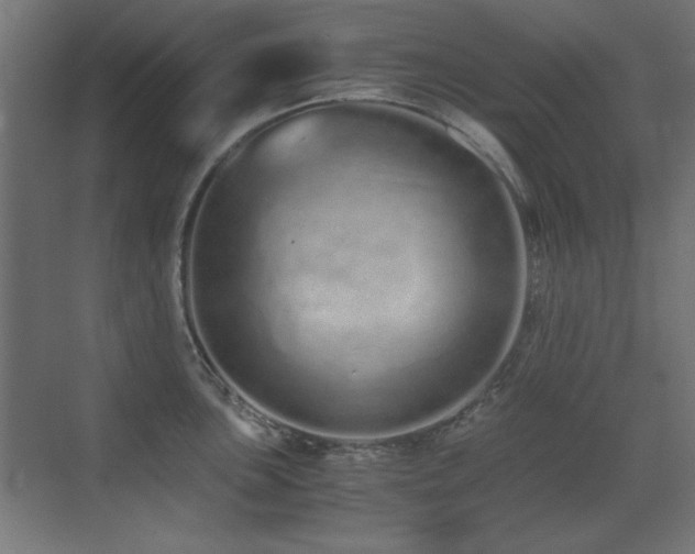 X0000073451051200607281216