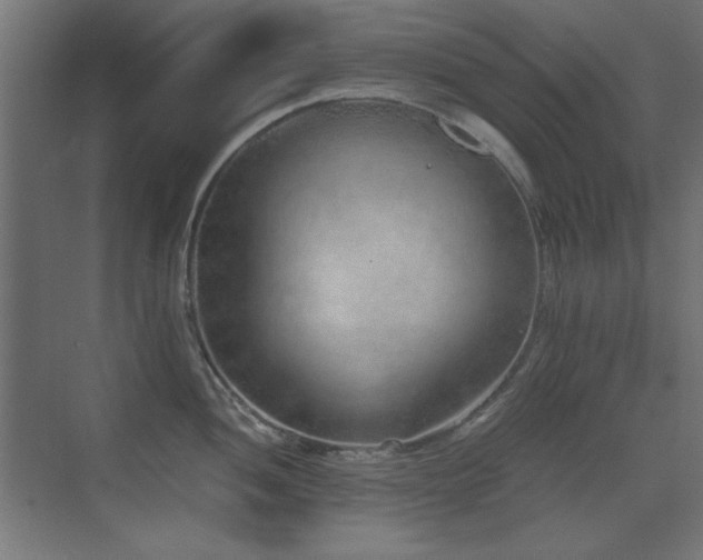 X0000073451052200607281216