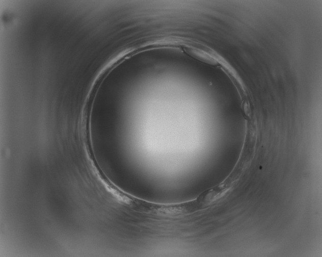 X0000073451053200607281216