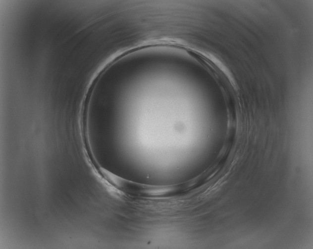 X0000073451054200607281216