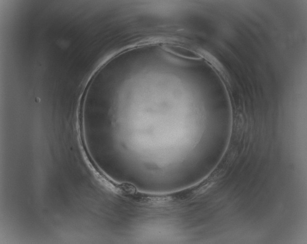 X0000073451055200607281216