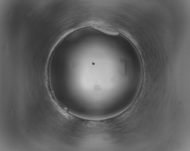 X0000073451056200607281216