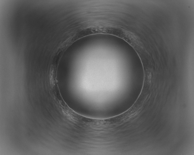 X0000073451060200607281215