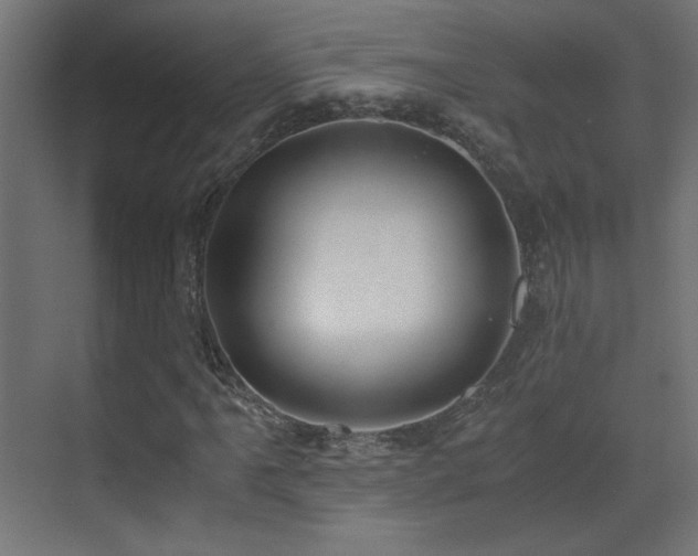 X0000073451061200607281215