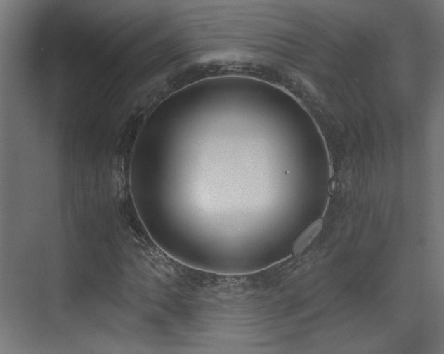 X0000073451062200607281215