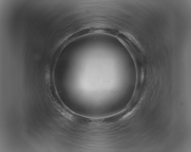 X0000073451065200607281215