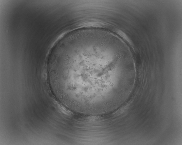 X0000073451067200607281215