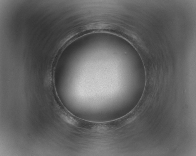 X0000073451073200607281215