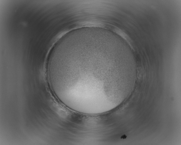 X0000073451074200607281215