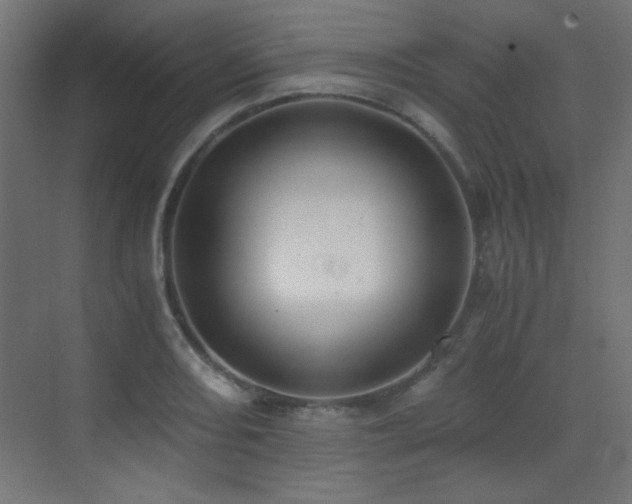 X0000073451082200607281215