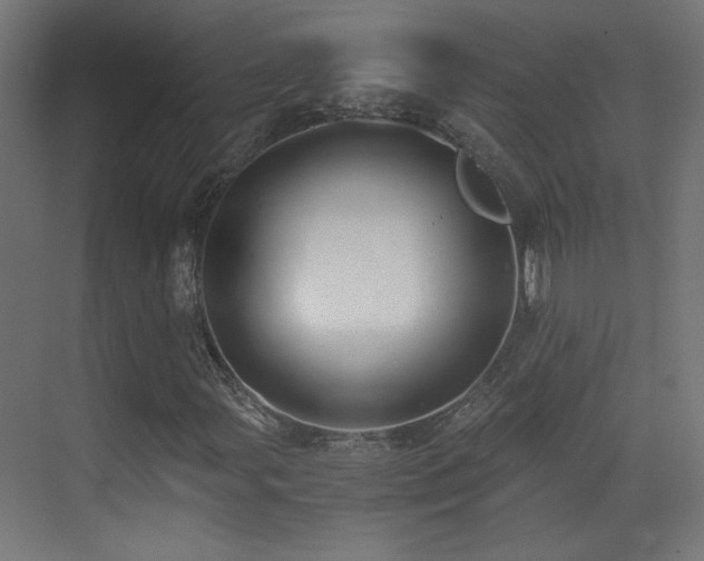 X0000073451107200607281213