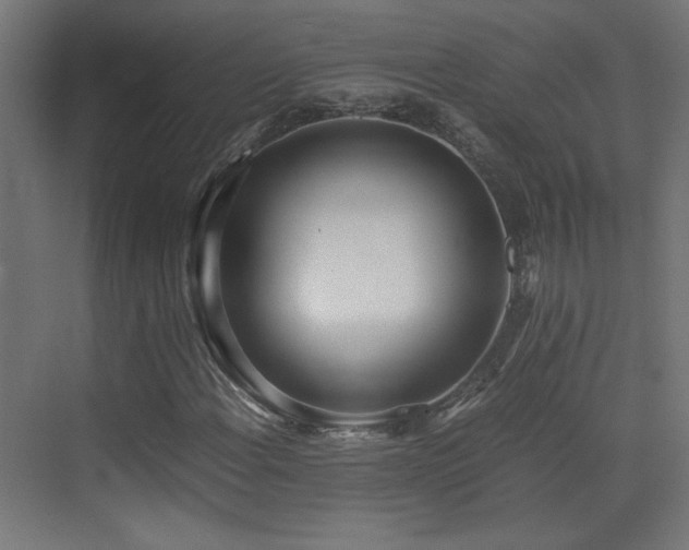 X0000073451108200607281213