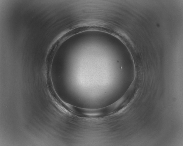 X0000073451114200607281214