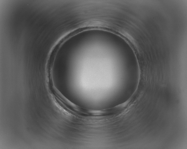 X0000073451120200607281214