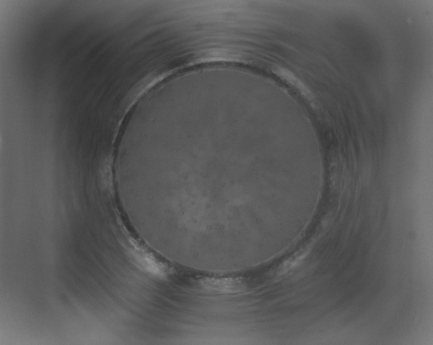 X0000073451121200607281214
