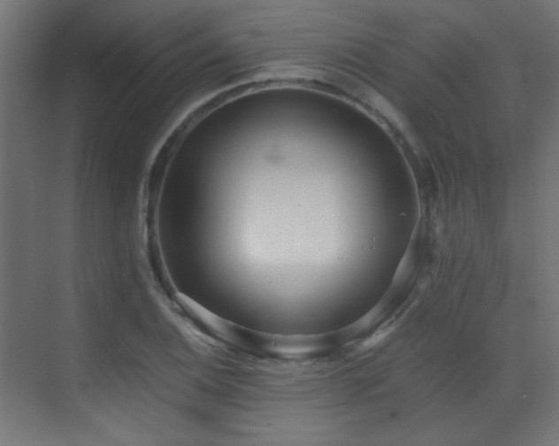 X0000073451124200607281214