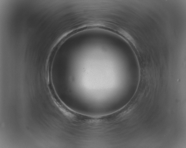 X0000073451127200607281214