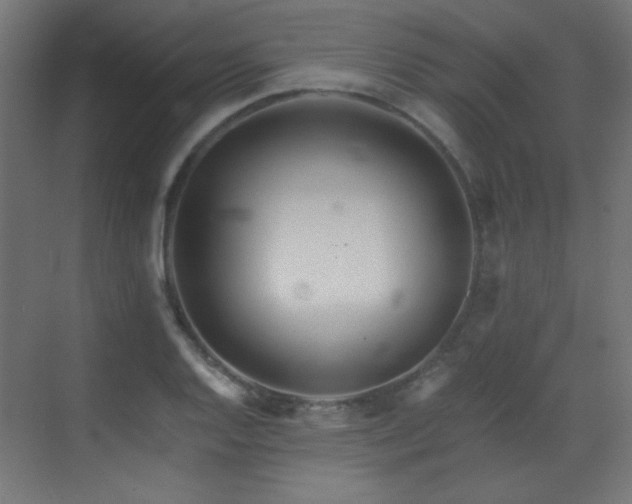 X0000073451128200607281214