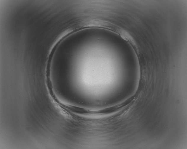 X0000073451138200607281214