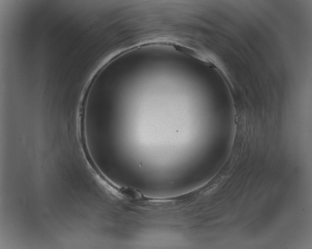 X0000073451151200607281214