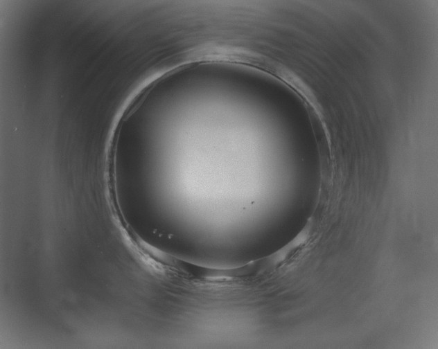 X0000073451152200607281214