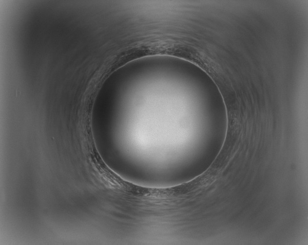 X0000073451153200607281213
