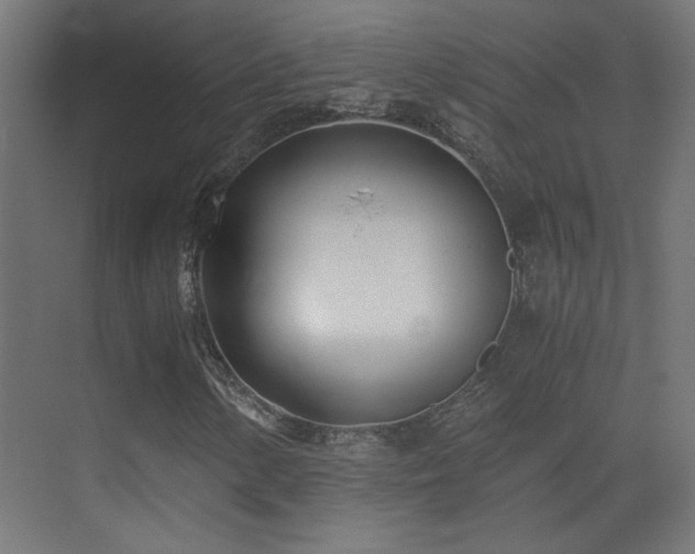 X0000073451154200607281213