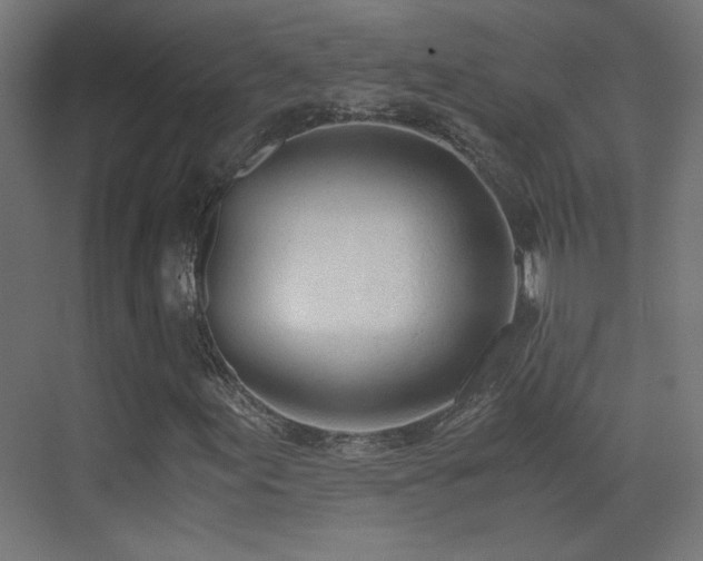 X0000073451155200607281213