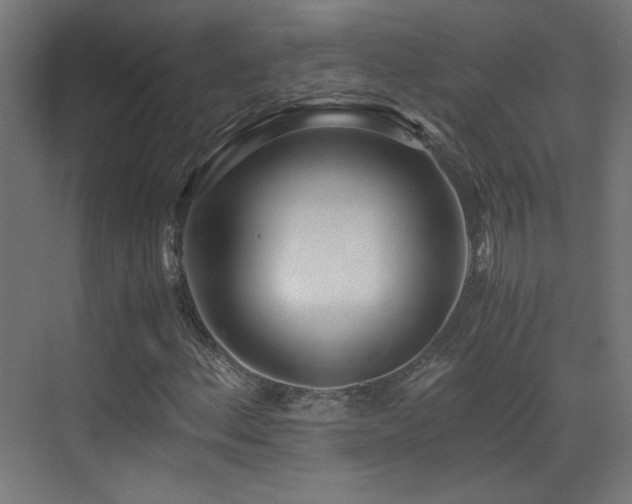 X0000073451156200607281213