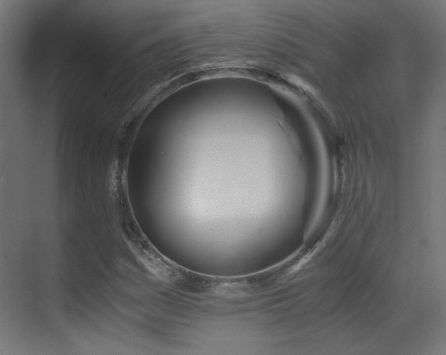 X0000073451161200607281213