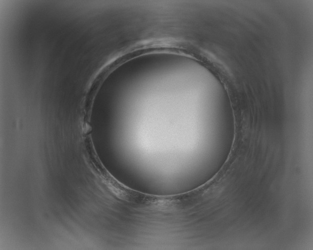 X0000073451166200607281213
