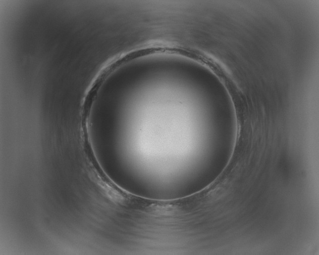 X0000073451168200607281213