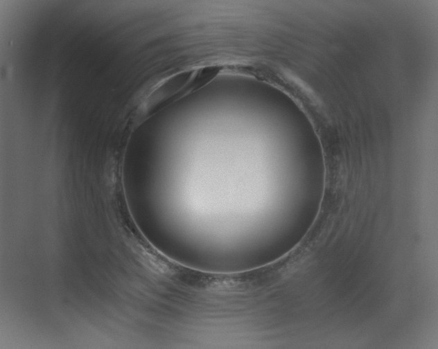 X0000073451169200607281213