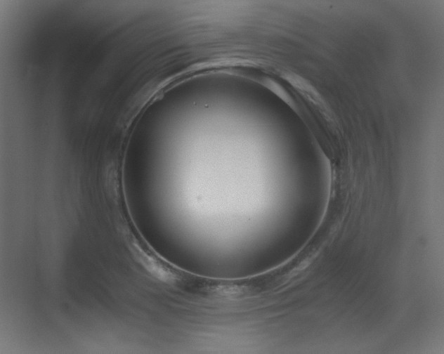 X0000073451177200607281213