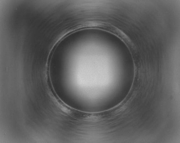 X0000073451178200607281213