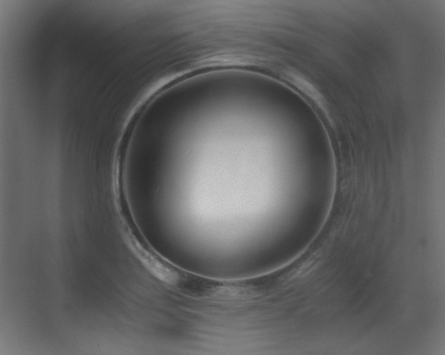 X0000073451179200607281213