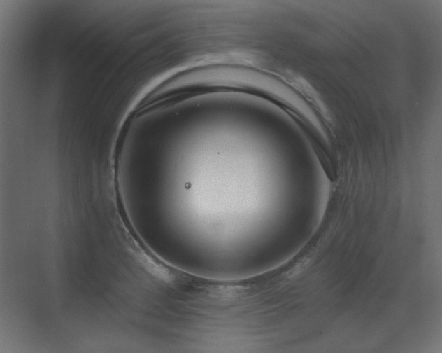 X0000073451184200607281213