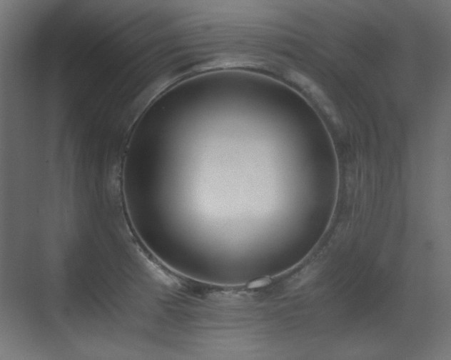 X0000073451185200607281213