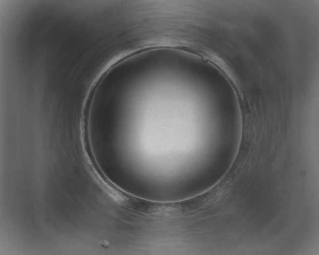 X0000073451187200607281213